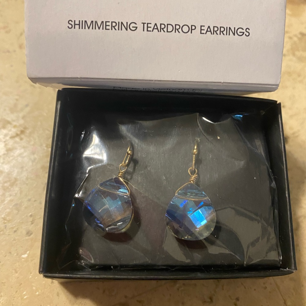 Shimmering Teardrop Earrings